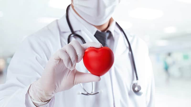 What-are-the-three-types-of-cardiology
